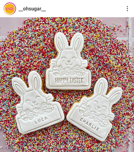 XL Easter Bunny with Name Box (4pcs) Cookie Cutter & Fondant Stamp Set